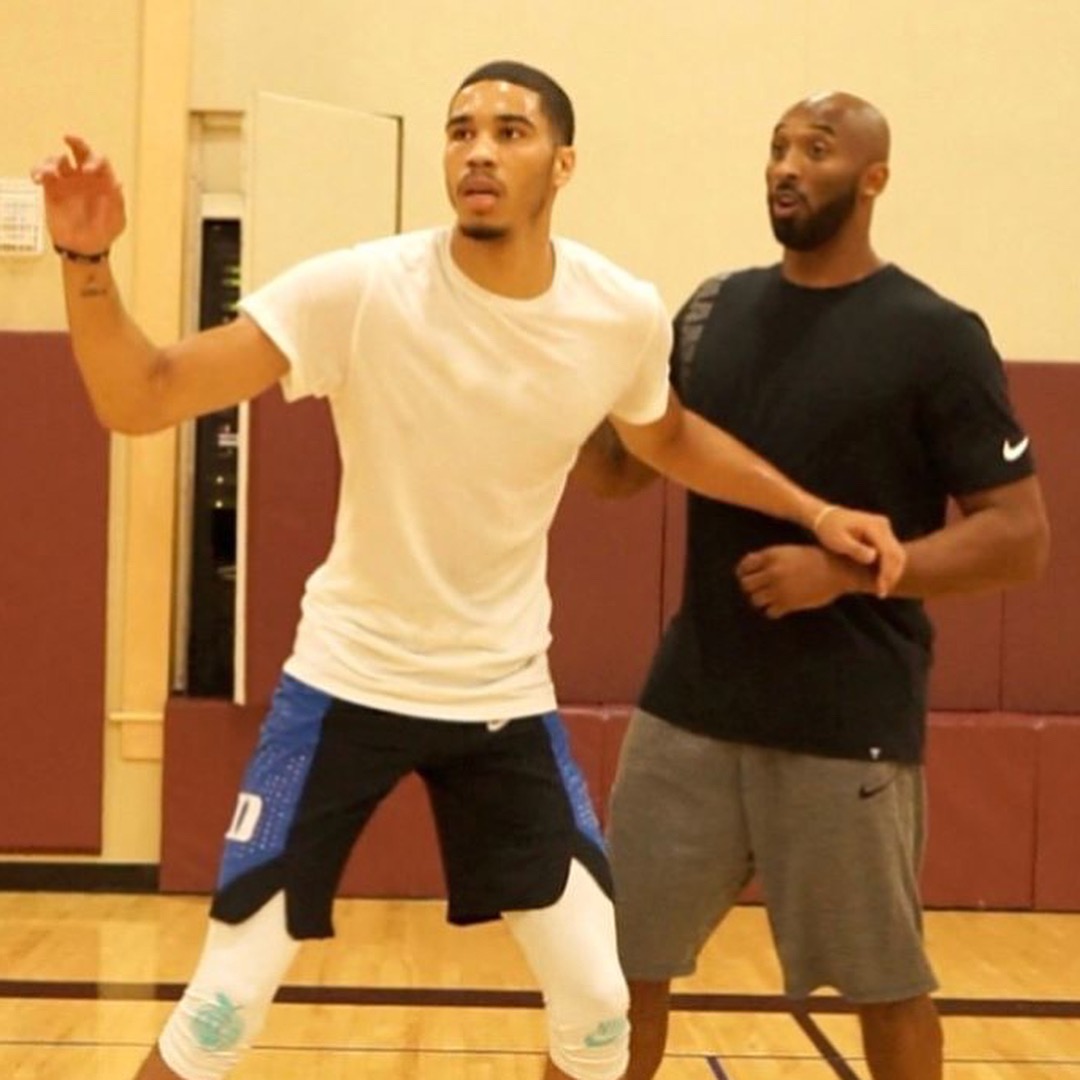 区生态的积 区生态的积